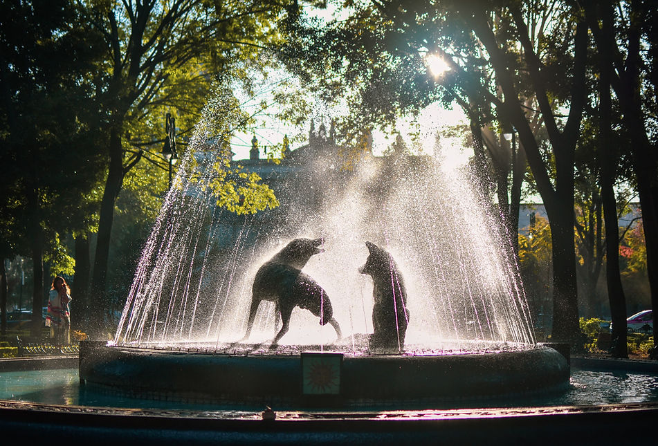 Cultura Coyoacán